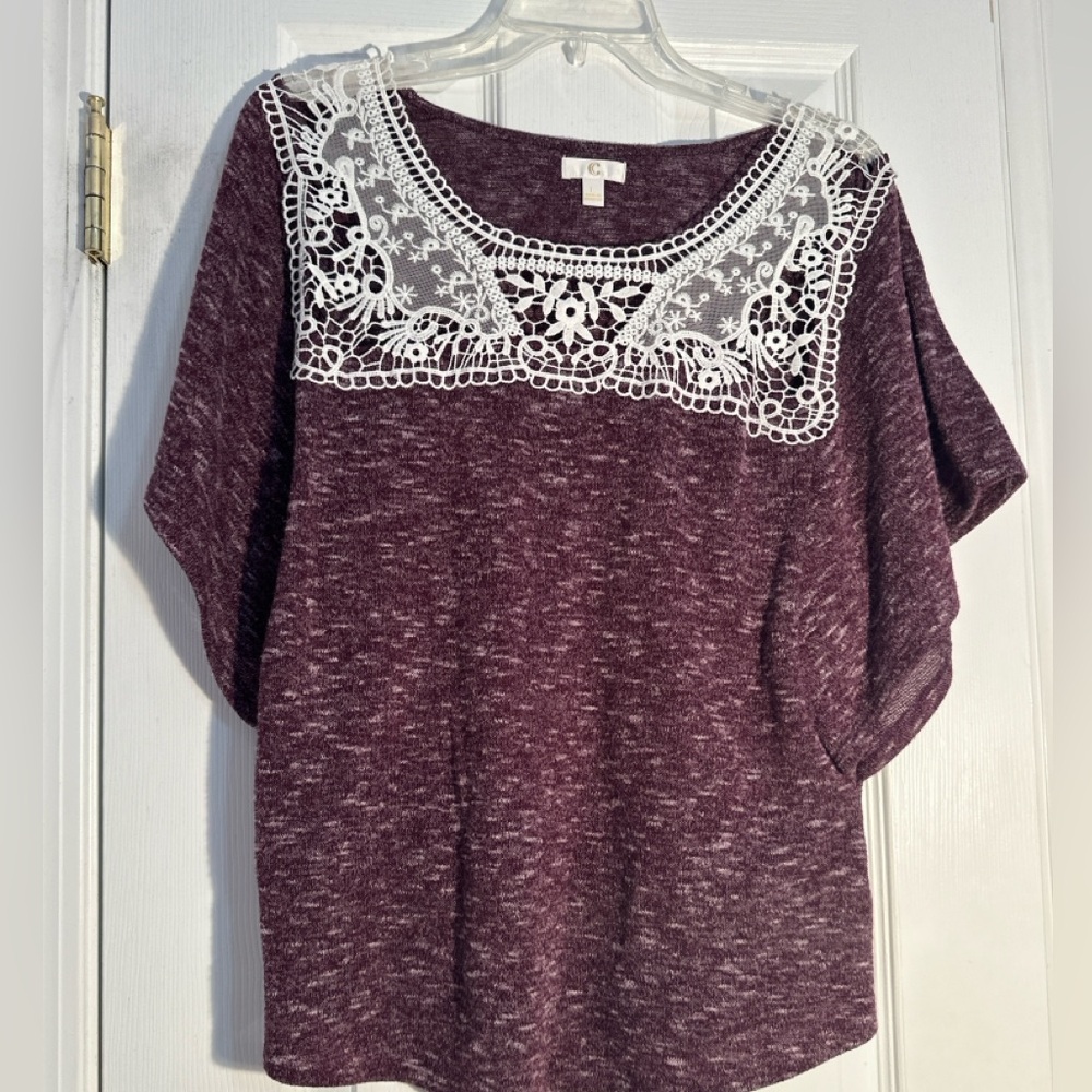 Large women’s top purple with striations of white